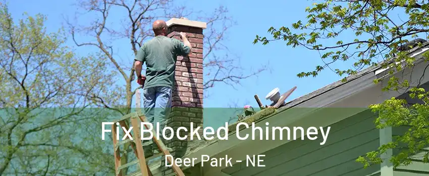 Fix Blocked Chimney Deer Park - NE