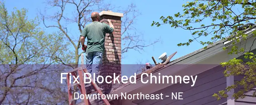 Fix Blocked Chimney Downtown Northeast - NE