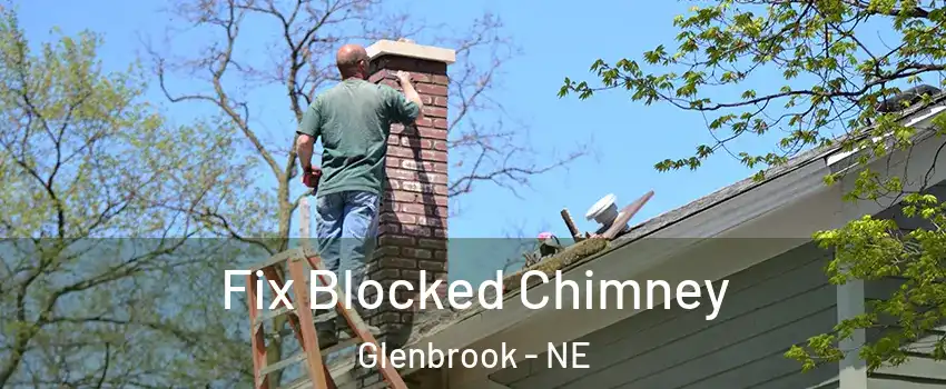 Fix Blocked Chimney Glenbrook - NE