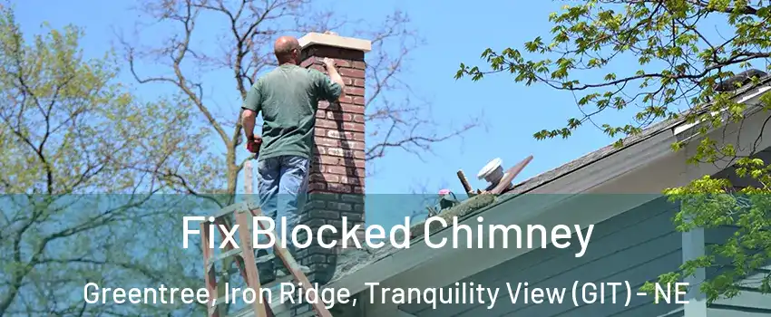 Fix Blocked Chimney Greentree, Iron Ridge, Tranquility View (GIT) - NE