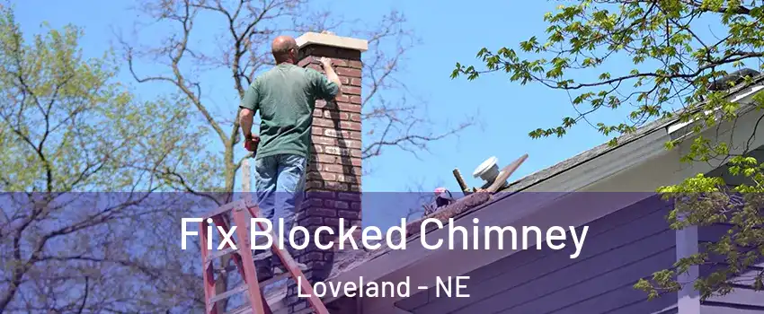 Fix Blocked Chimney Loveland - NE