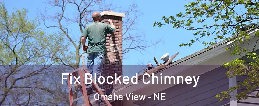 Fix Blocked Chimney Omaha View - NE