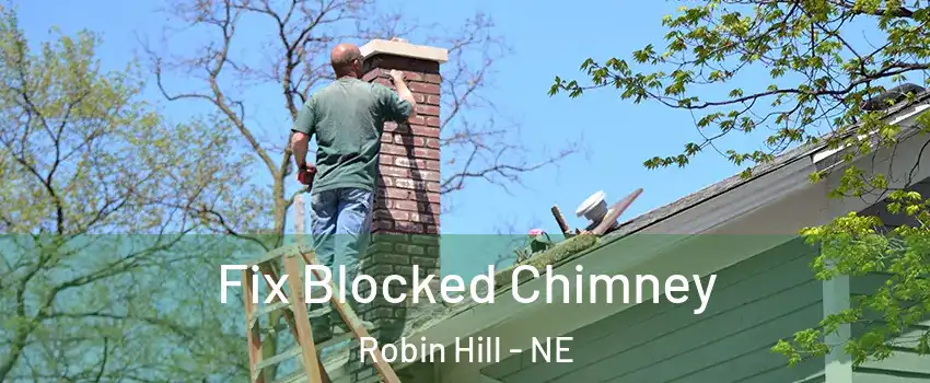 Fix Blocked Chimney Robin Hill - NE