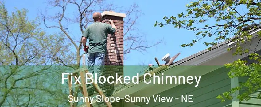 Fix Blocked Chimney Sunny Slope-Sunny View - NE