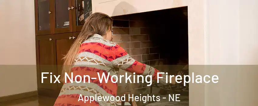 Fix Non-Working Fireplace Applewood Heights - NE