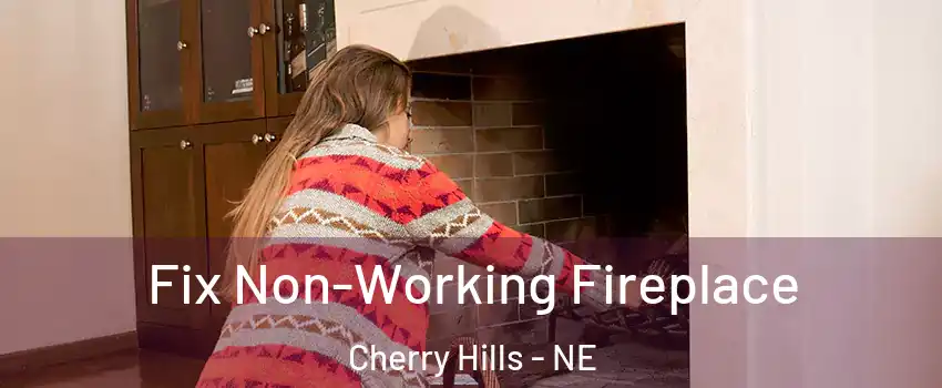 Fix Non-Working Fireplace Cherry Hills - NE