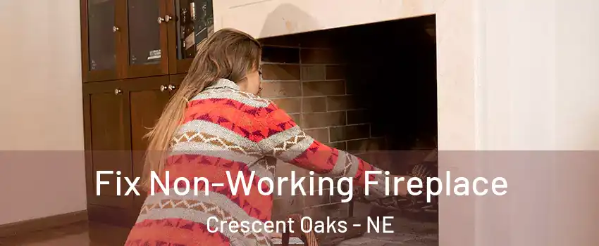 Fix Non-Working Fireplace Crescent Oaks - NE