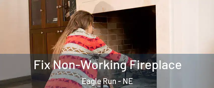 Fix Non-Working Fireplace Eagle Run - NE