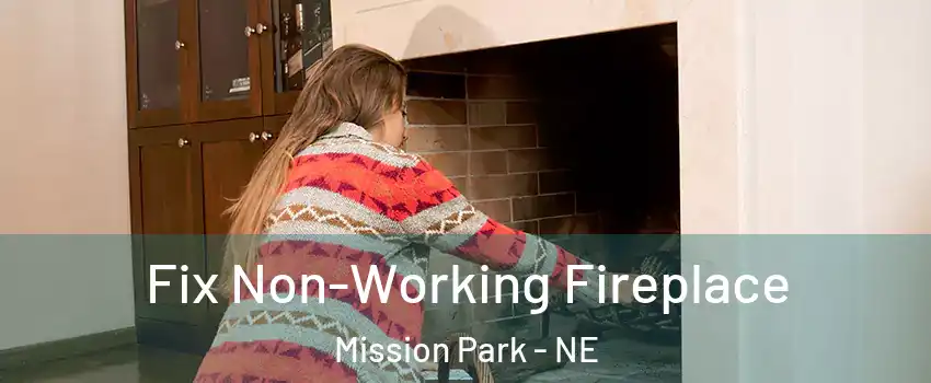 Fix Non-Working Fireplace Mission Park - NE