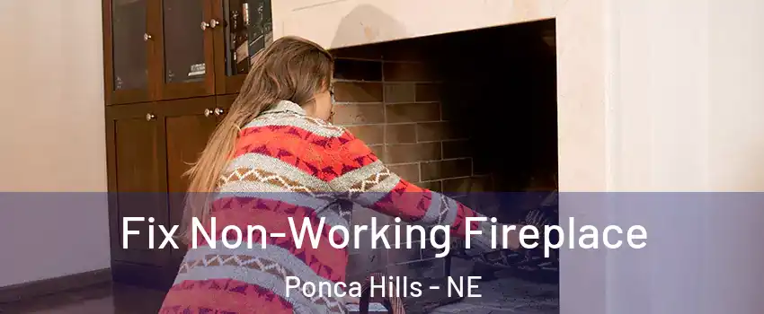 Fix Non-Working Fireplace Ponca Hills - NE