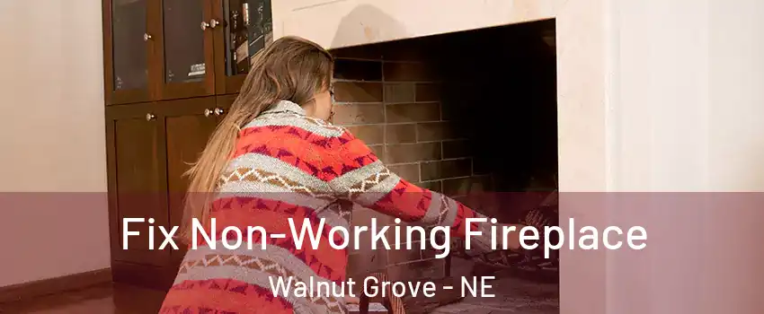 Fix Non-Working Fireplace Walnut Grove - NE