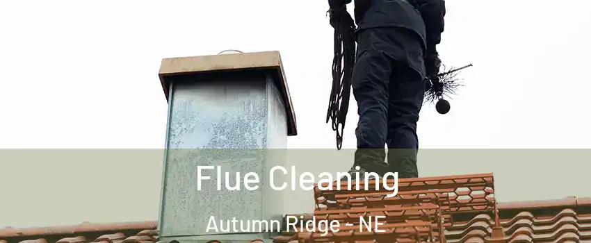 Flue Cleaning Autumn Ridge - NE