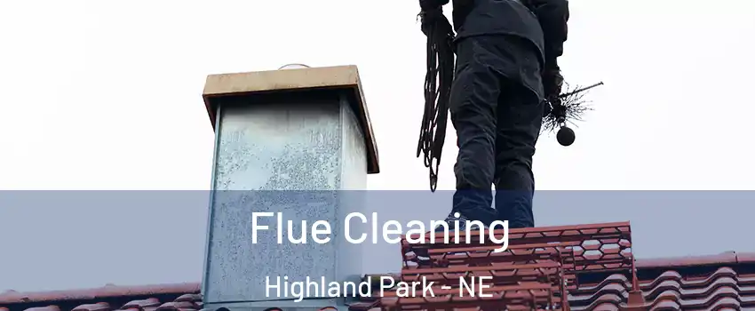 Flue Cleaning Highland Park - NE