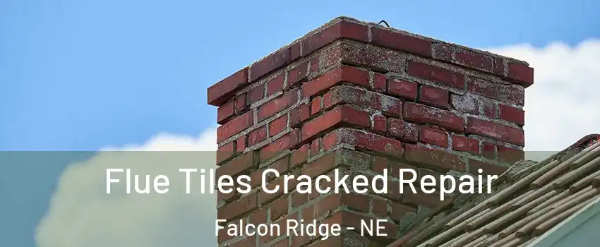 Flue Tiles Cracked Repair Falcon Ridge - NE