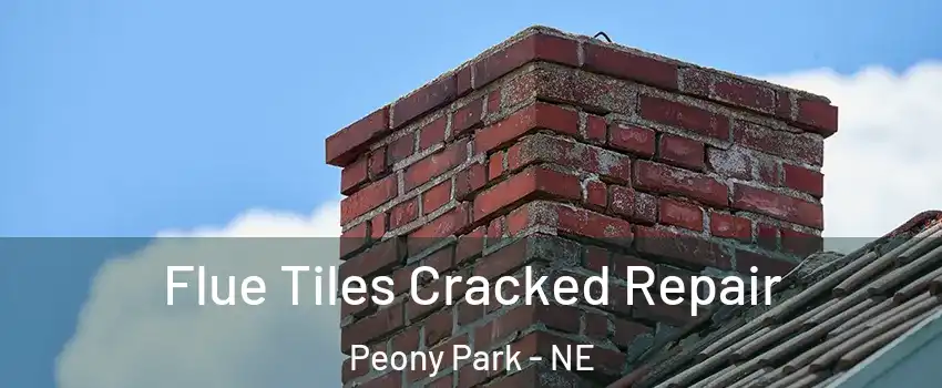 Flue Tiles Cracked Repair Peony Park - NE