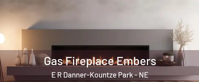 Gas Fireplace Embers E R Danner-Kountze Park - NE