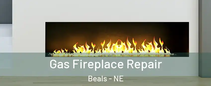 Gas Fireplace Repair Beals - NE