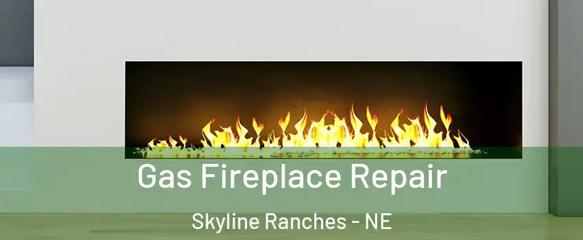 Gas Fireplace Repair Skyline Ranches - NE