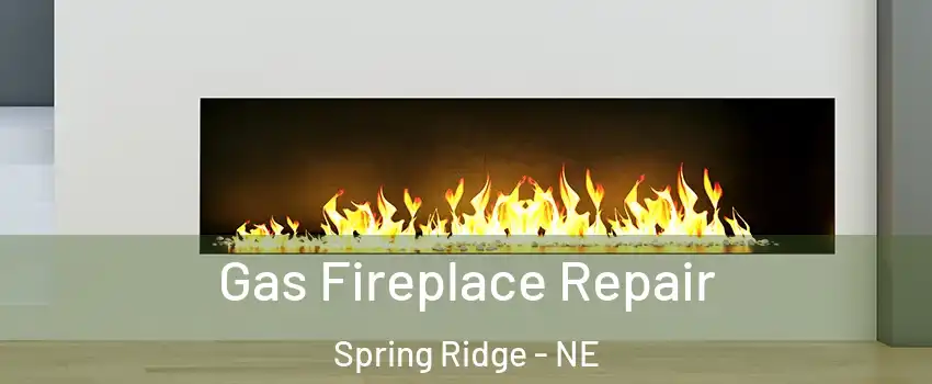 Gas Fireplace Repair Spring Ridge - NE