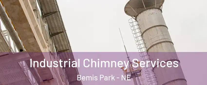 Industrial Chimney Services Bemis Park - NE