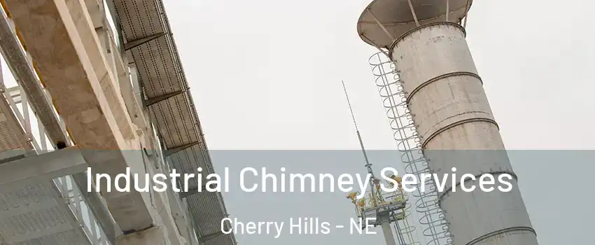 Industrial Chimney Services Cherry Hills - NE