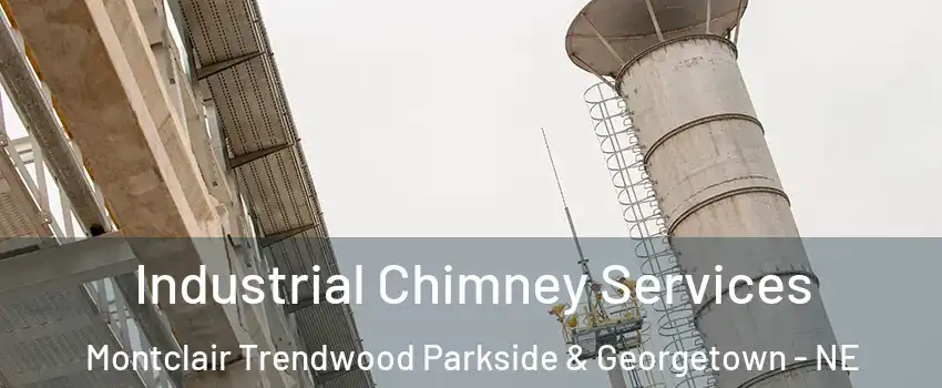 Industrial Chimney Services Montclair Trendwood Parkside & Georgetown - NE