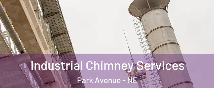 Industrial Chimney Services Park Avenue - NE