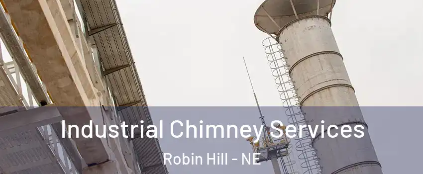 Industrial Chimney Services Robin Hill - NE