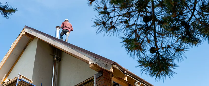 Birds Removal Contractors from Chimney in Prairie Pointe, NE