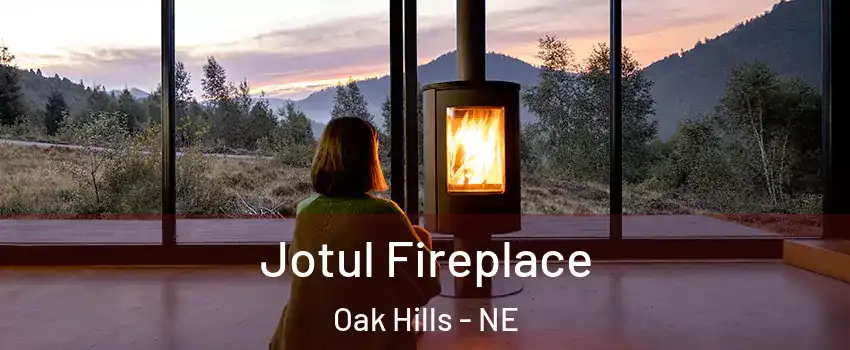 Jotul Fireplace Oak Hills - NE