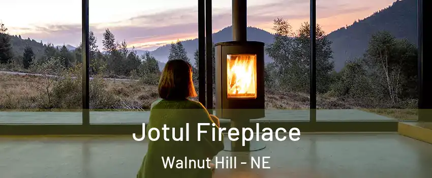 Jotul Fireplace Walnut Hill - NE