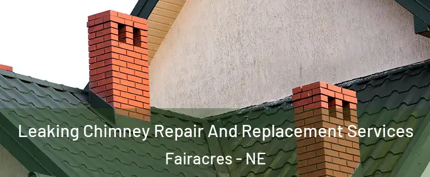 Leaking Chimney Repair And Replacement Services Fairacres - NE