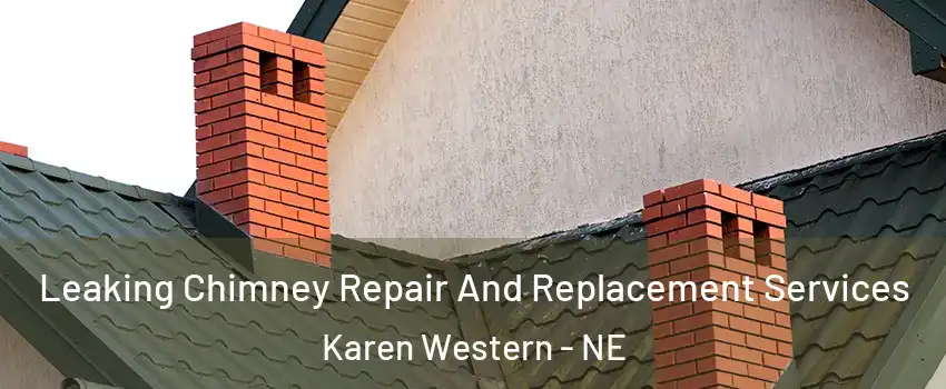 Leaking Chimney Repair And Replacement Services Karen Western - NE