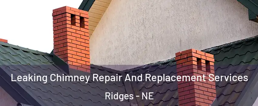 Leaking Chimney Repair And Replacement Services Ridges - NE