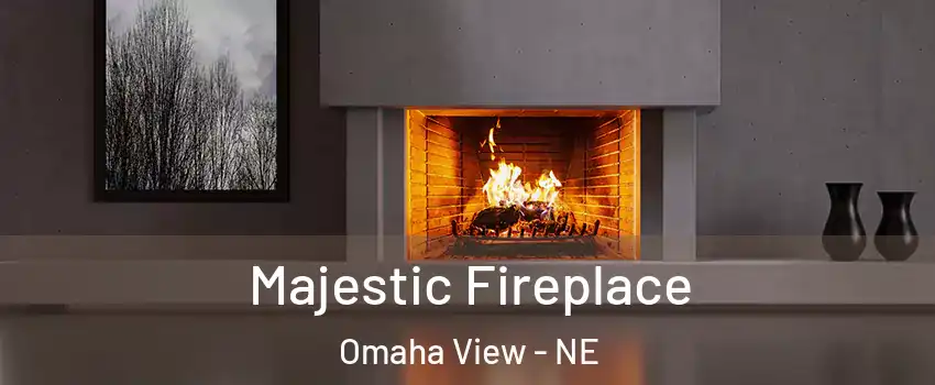 Majestic Fireplace Omaha View - NE