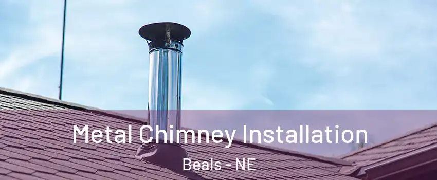 Metal Chimney Installation Beals - NE