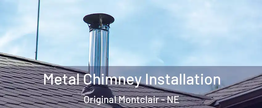 Metal Chimney Installation Original Montclair - NE