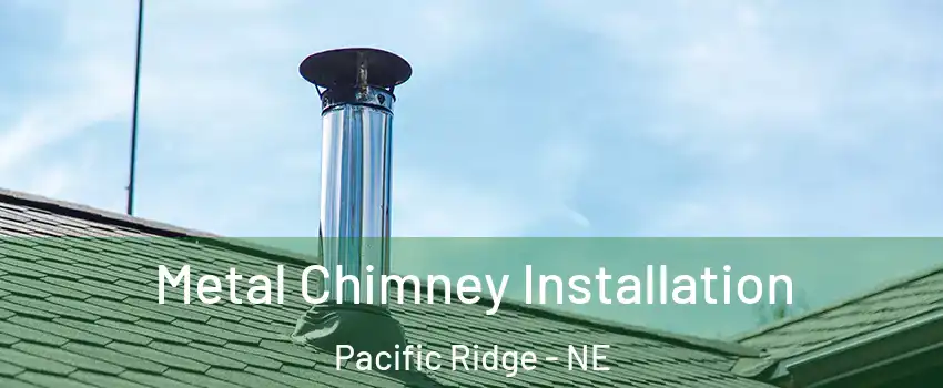 Metal Chimney Installation Pacific Ridge - NE