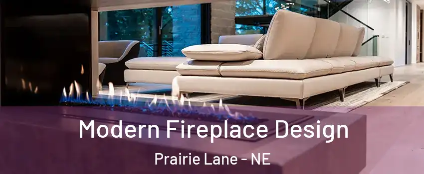 Modern Fireplace Design Prairie Lane - NE