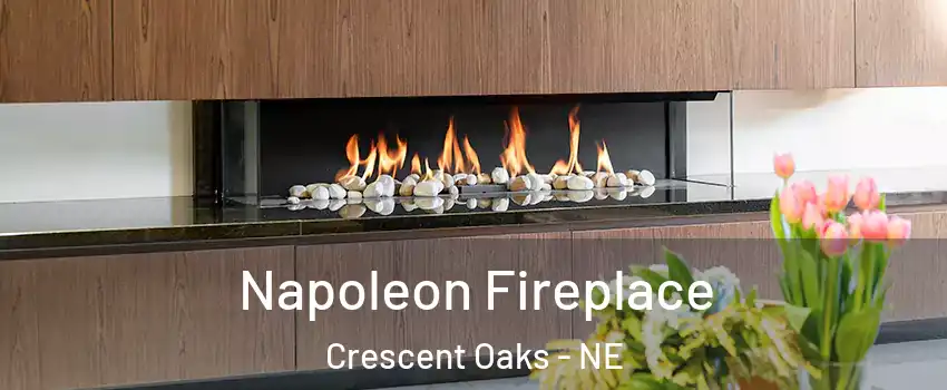 Napoleon Fireplace Crescent Oaks - NE