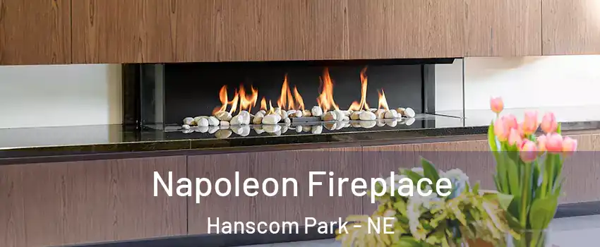 Napoleon Fireplace Hanscom Park - NE