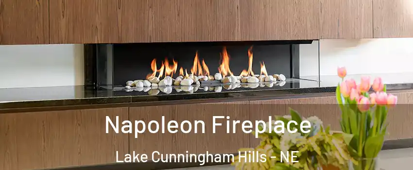 Napoleon Fireplace Lake Cunningham Hills - NE