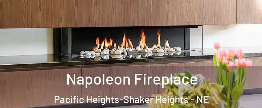 Napoleon Fireplace Pacific Heights-Shaker Heights - NE