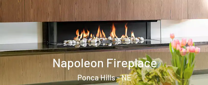 Napoleon Fireplace Ponca Hills - NE