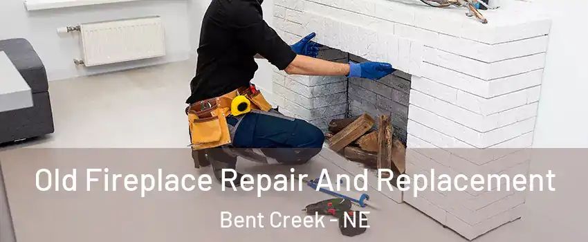 Old Fireplace Repair And Replacement Bent Creek - NE