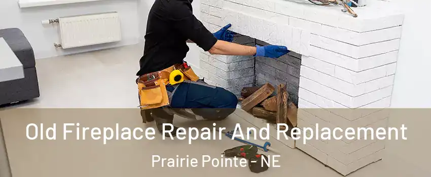 Old Fireplace Repair And Replacement Prairie Pointe - NE