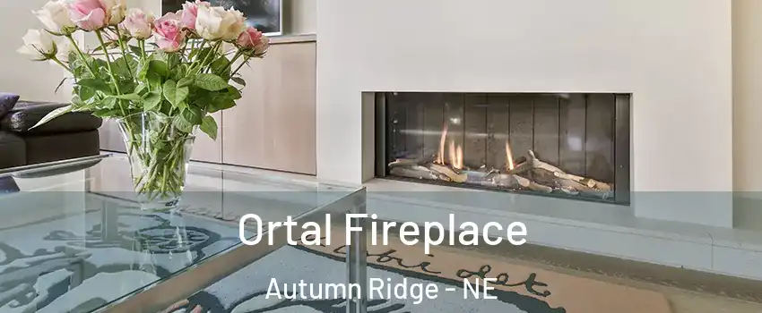 Ortal Fireplace Autumn Ridge - NE