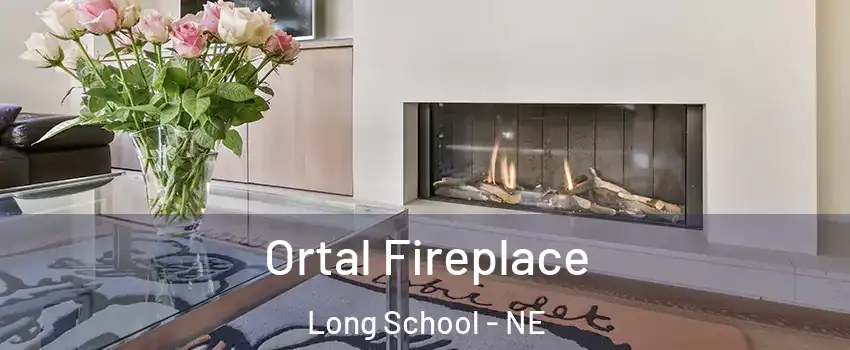 Ortal Fireplace Long School - NE