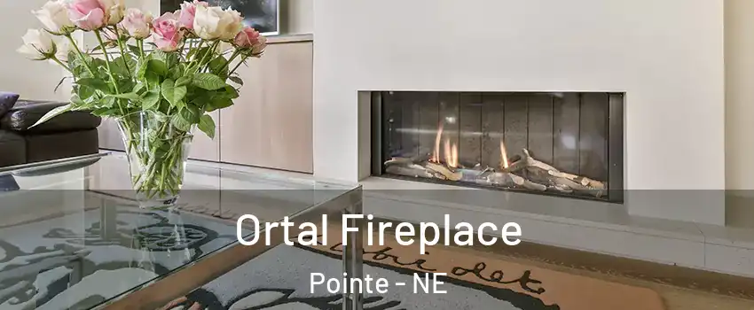 Ortal Fireplace Pointe - NE