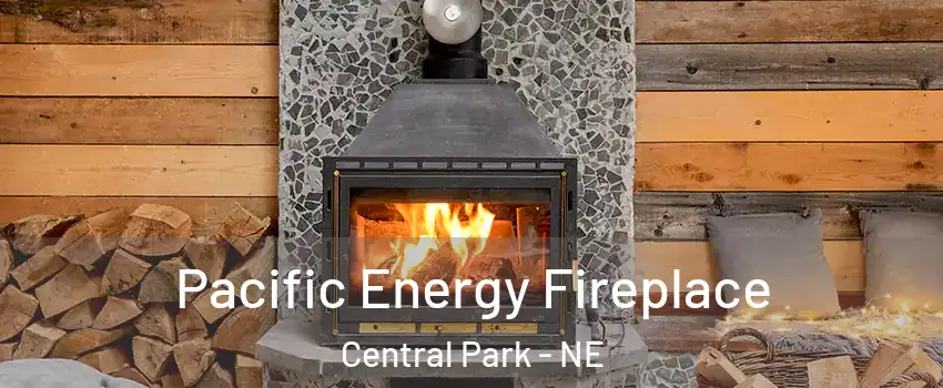 Pacific Energy Fireplace Central Park - NE